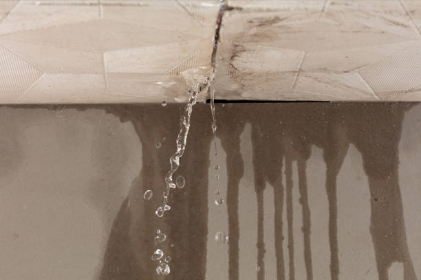 Professional Structural Drying technician working in Harrison, NY